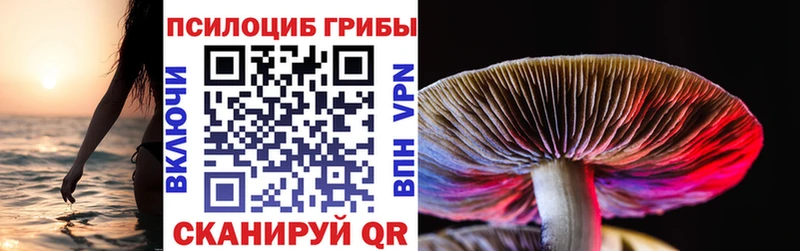 Галлюциногенные грибы мухоморы  Андреаполь 