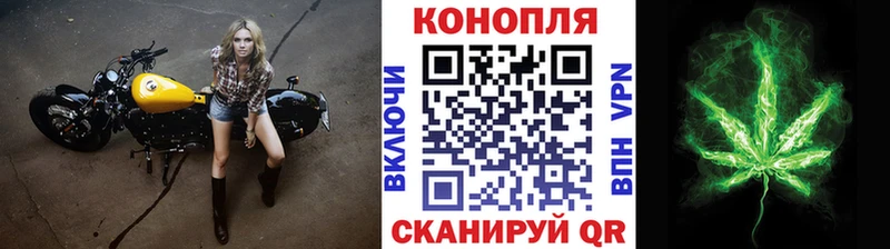 МАРИХУАНА гибрид  где найти   Андреаполь 